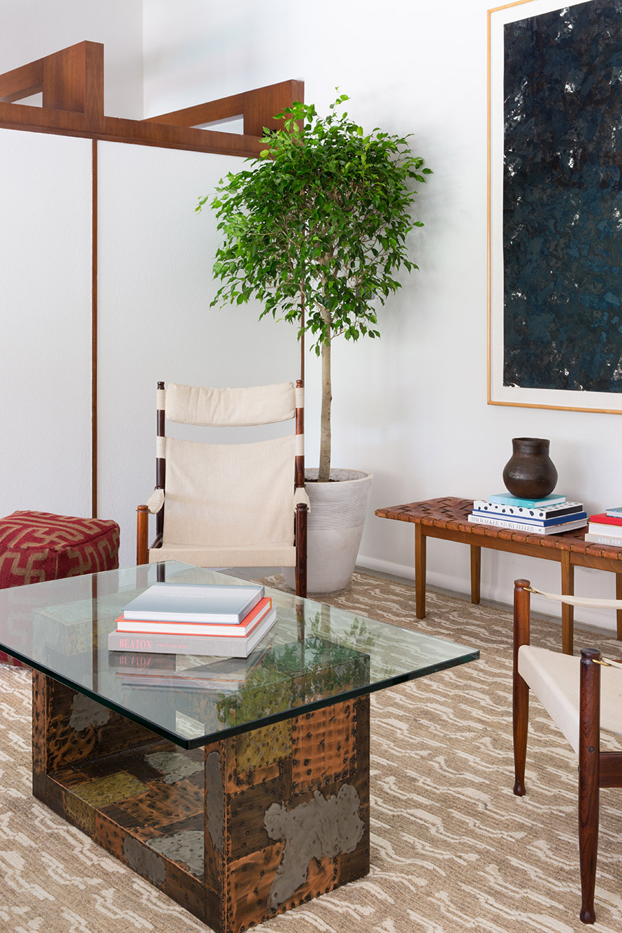 Close up of a living room with a glass coffee table and a tree in the corner.